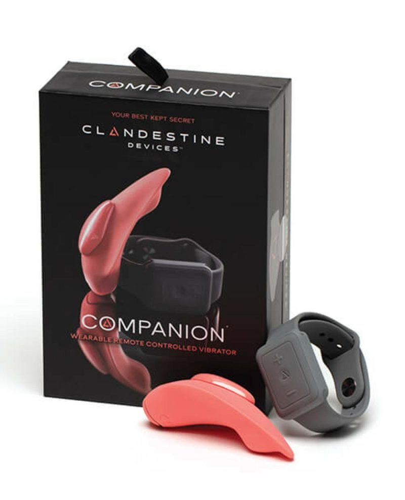 Clandestine Companion Wearable Remote Vibrator Remote-Control Vibrating Panties