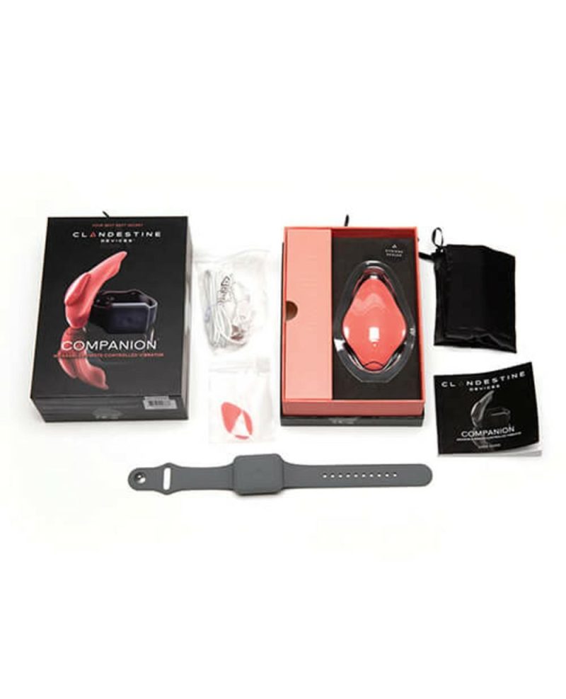 Clandestine Companion Wearable Remote Vibrator Remote-Control Vibrating Panties