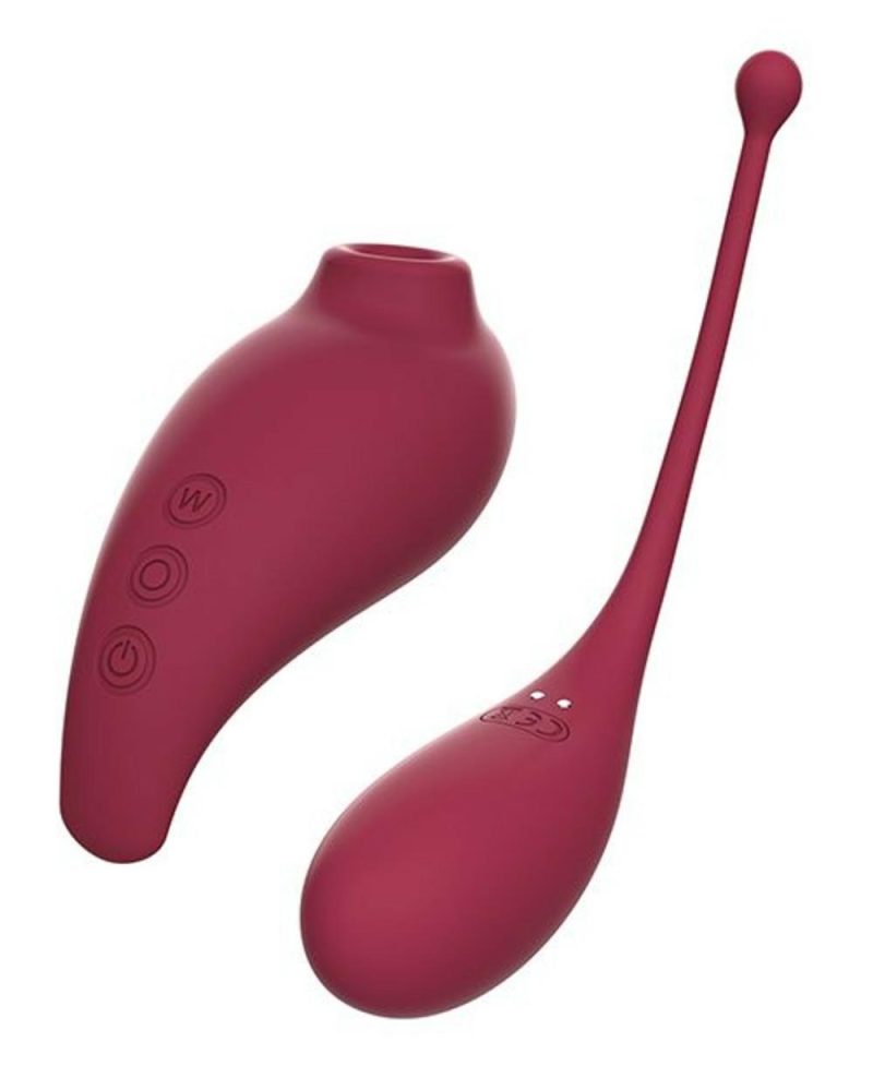 Inspiration Clitoral Suction Stimulator & Vibrating Egg Set Air-Suction Toys